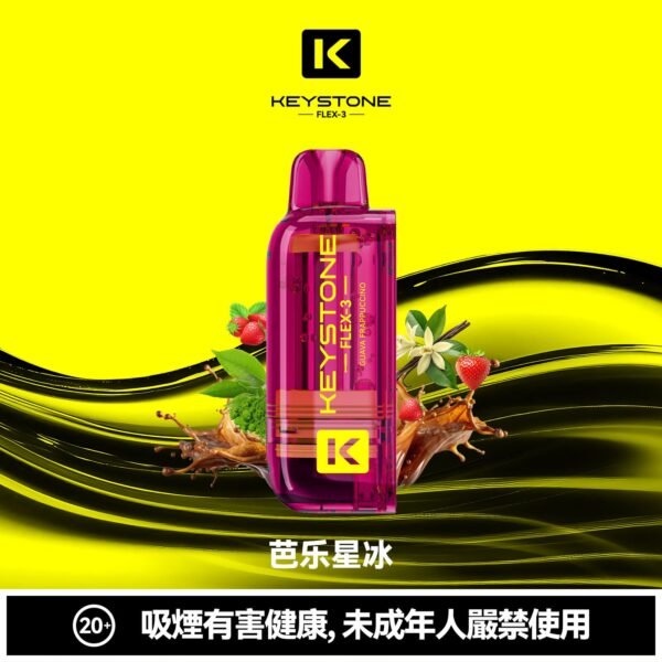 KEYSTONE FLEX-3 鑰石 25000口 專彈專機套裝|22W/28W/40W 三段功率・氣流可調・台灣現貨