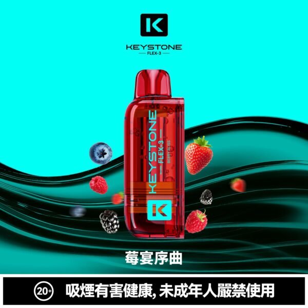 KEYSTONE FLEX-3 鑰石 25000口 專彈專機套裝|22W/28W/40W 三段功率・氣流可調・台灣現貨