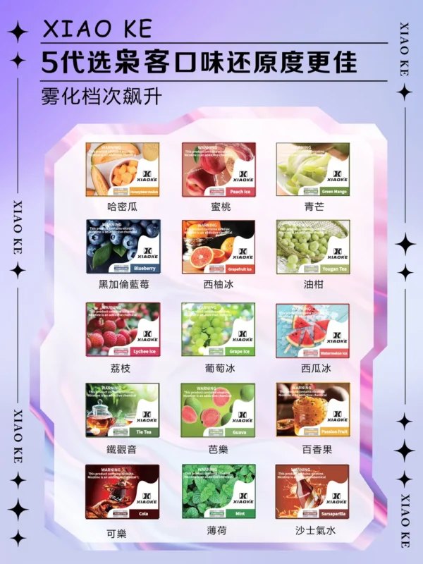 XIAOKE 梟客五代專用煙彈|高還原口感・穩定輸出