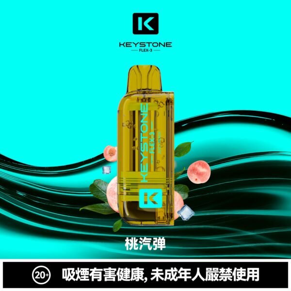 KEYSTONE FLEX-3 鑰石 25000口 專彈專機套裝|22W/28W/40W 三段功率・氣流可調・台灣現貨