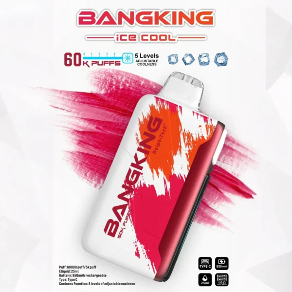 Bang King 60000 拋棄式電子煙|60000口・LED螢幕・五檔冰度調節・850mAh可充電