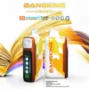 Bang King 60000 拋棄式電子煙|60000口・LED螢幕・五檔冰度調節・850mAh可充電