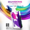 Bang King 60000 拋棄式電子煙|60000口・LED螢幕・五檔冰度調節・850mAh可充電