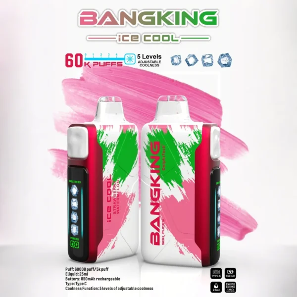 Bang King 60000 拋棄式電子煙|60000口・LED螢幕・五檔冰度調節・850mAh可充電