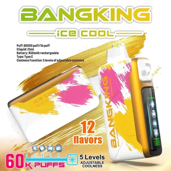 Bang King 60000 拋棄式電子煙|60000口・LED螢幕・五檔冰度調節・850mAh可充電