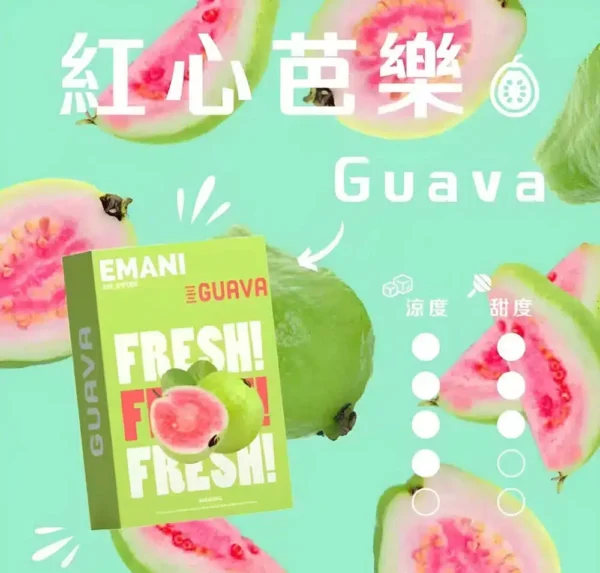 EMANI 依馬尼 一代專用煙彈|適配 RELX 1代、SP2S 主機|台灣現貨