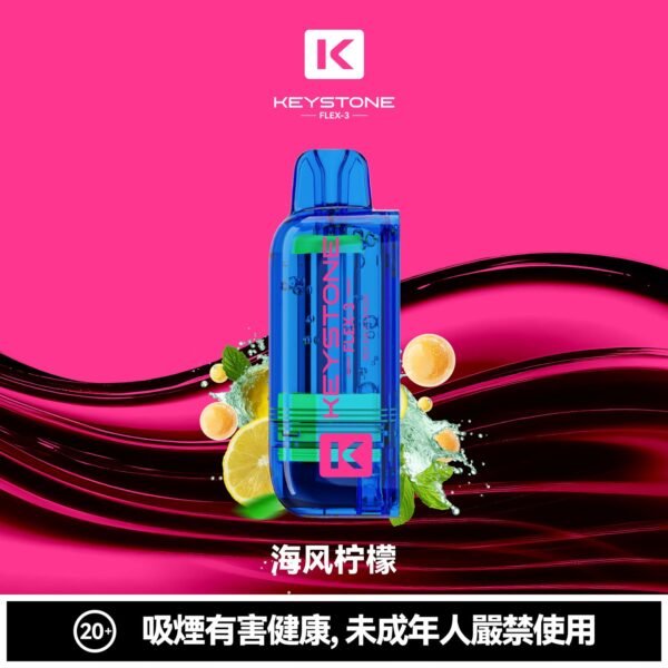 KEYSTONE FLEX-3 鑰石 25000口 專彈專機套裝|22W/28W/40W 三段功率・氣流可調・台灣現貨