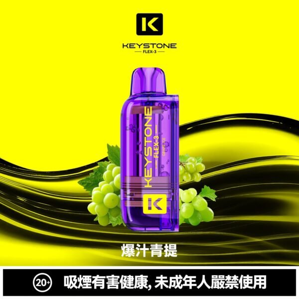 KEYSTONE FLEX-3 鑰石 25000口 專彈專機套裝|22W/28W/40W 三段功率・氣流可調・台灣現貨