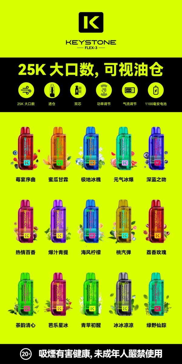 KEYSTONE FLEX-3 鑰石 25000口 專彈專機套裝|22W/28W/40W 三段功率・氣流可調・台灣現貨