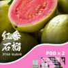 SP2S MAX煙彈 專用磁吸式煙彈 2mL 3%尼古丁 多口味可選