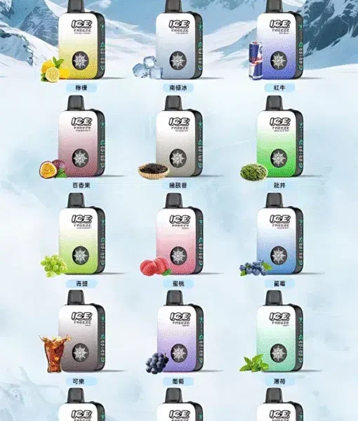 ICE FREEZE 10000口拋棄式電子煙|四段涼感切換・650mAh・20mL