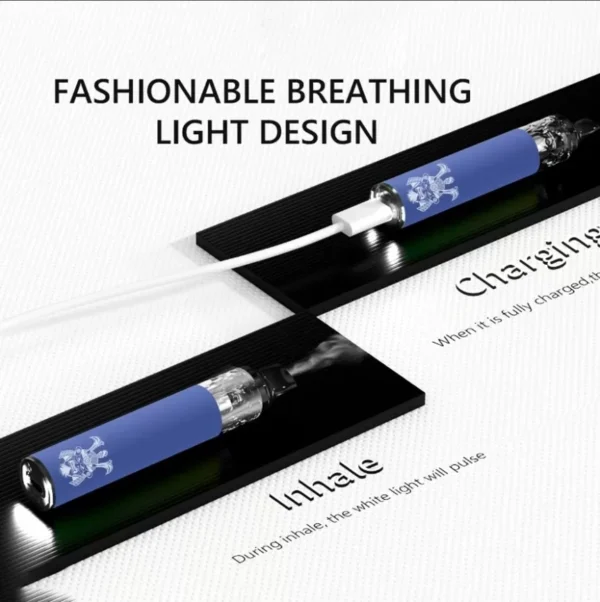 DISPOSABLE BARS 將軍S1 拋棄式電子煙|數千口・高效電池・輕巧即開即用