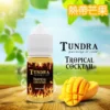TUNDRA T牌芒果味小煙油30ml|馬來西亞愛文芒果冰沙30mg