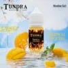 TUNDRA T牌芒果味小煙油30ml|馬來西亞愛文芒果冰沙30mg