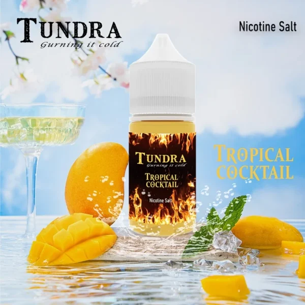 TUNDRA T牌芒果味小煙油30ml|馬來西亞愛文芒果冰沙30mg